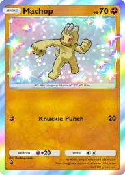 Machop — Shiny, #223