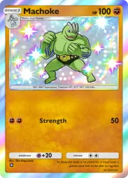 Machoke — Shiny, #224