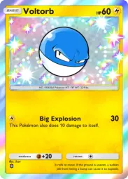 Voltorb — Shiny, #095