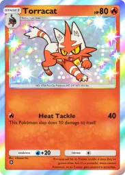 Torracat — Shiny, #294