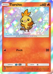 Torchic — Shiny, #206