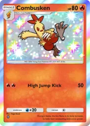 Combusken — Shiny, #207