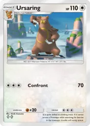 Ursaring — Uncommon, Everyday Wonders #057